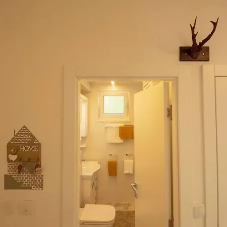 Family - Oasis With Easy Parking * نوفي ساد