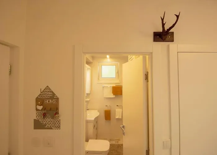 Family - Oasis With Easy Parking * 노비사드